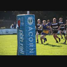 Image result for York Acorn Rugby League Football Club