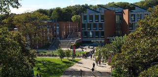 Image result for University Of Sussex