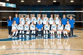 Image result for York University Volleyball Club