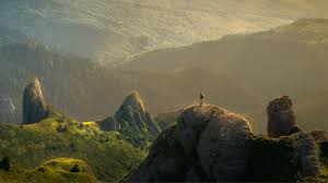 Image result for foto criação de deus