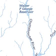 Image result for Alosa alabamae