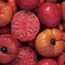 Afbeeldingsresultaat voor mortgage lifter bicolor strain tomato