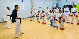 Image result for Windsor Higashi Karate Club