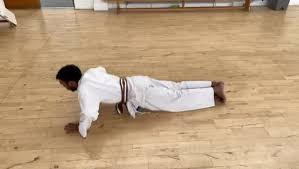 Image result for Seiki Juku Karate Club