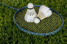 Image result for Meadow Sports Badminton Club