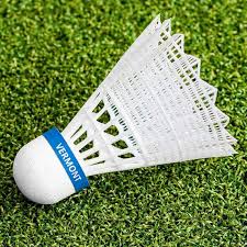 Image result for Halwill Badminton Club