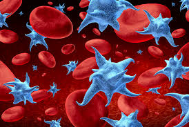 Image result for blood