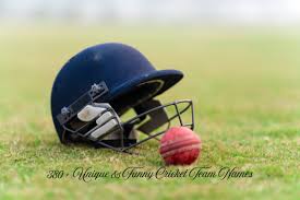 Image result for Runnymede Rascals Cricket Club