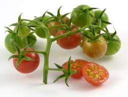 Afbeeldingsresultaat voor broad ripple yellow currant tomato