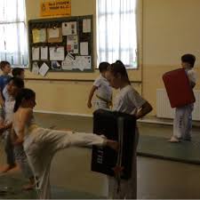 Image result for Bytomic Tae Kwon Do Beaconsfield