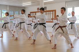 Image result for Karate Wado Kai
