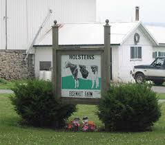 Image result for Eisenhut