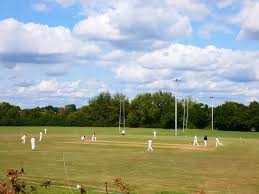 Image result for Old Stacians Cricket Club