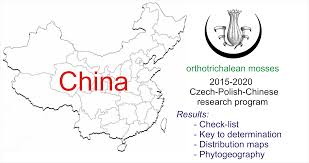 Attēlu rezultāti vaicājumam “Orthotrichum cupulatum var. riparium”