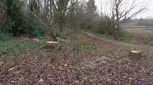 Image result for Millbrook Smbc