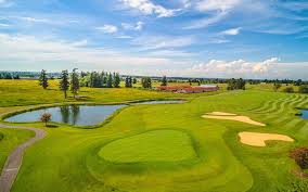 Image result for Bellingham Golf Club
