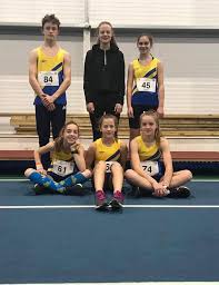 Image result for Pembrokeshire Harriers