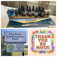 Image result for Llysfaen Pétanque Club