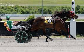 Image result for Meadows Sports Association