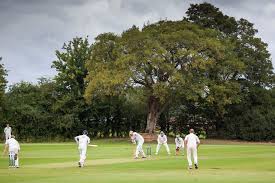 Image result for Edenbridge Cricket Club