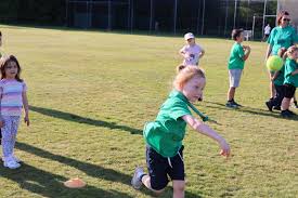 Image result for Ifield Cricket Club