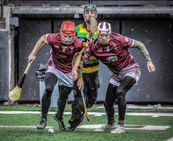 Image result for hurling