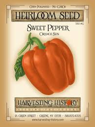 Afbeeldingsresultaat voor orange sun sweet pepper