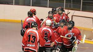 Image result for Dundee Ducks inline roller hockey club