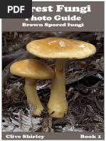 Attēlu rezultāti vaicājumam “Diderma subincarnatum young”