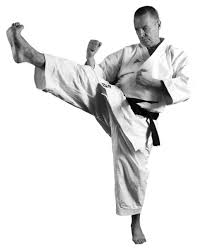 Image result for Loughton Wado-Kai Karate Club