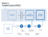 About PMC - PMC