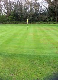 Image result for Thames Ditton & Esher Golf Club