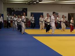Image result for Taekwondo Athletes Program USA