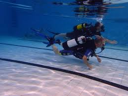 Image result for British Sub-Aqua Teesside 43 Branch