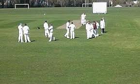 Image result for Halstead Colts Cricket Club