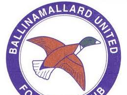 Image result for Ballinamallard United Football Club