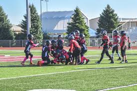 Image result for Milford Pumas Football Club