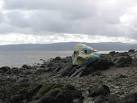 King Tut. A view looking west from the foreshore below Shore Road towards - via Daymix