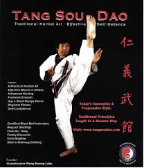 Image result for Tang Sou Dao Ren Yi Wu Kwan - Huntingdon