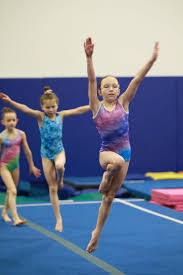 Image result for Deerness Valley Hpc Gymnastics Club