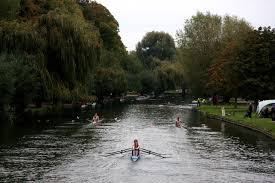 Image result for Bedford Rowing Club