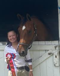 Image result for Annandale Equestrian Centre