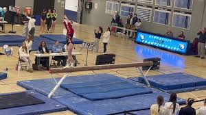 Image result for Pinewood Gymnastics Club