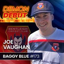 Image result for Old Tauntonians and Romsey Cc