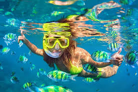 Image result for Ruislip Snorkelling Club
