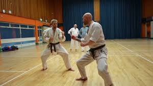 Image result for Edinburgh Karate do Shotokai