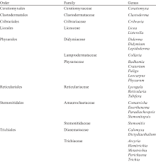 Attēlu rezultāti vaicājumam “Dianemataceae”