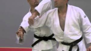 Image result for Goshin Ryu Atemi JuJitsu