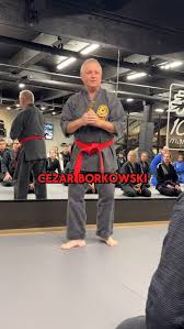 Image result for Excalibur Shotokan Karate Club