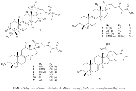 Attēlu rezultāti vaicājumam “Buglossoporus quercinus”